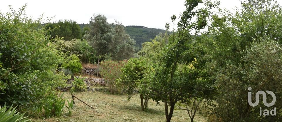 Farm T3 in São Miguel, Santa Eufémia e Rabaçal of 378 m²
