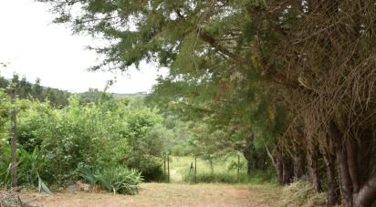 Farm T3 in São Miguel, Santa Eufémia e Rabaçal of 378 m²