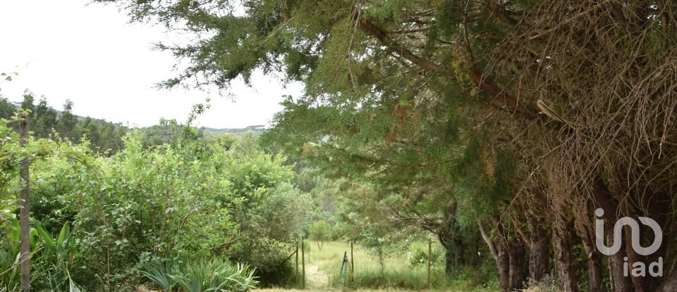 Farm T3 in São Miguel, Santa Eufémia e Rabaçal of 378 m²