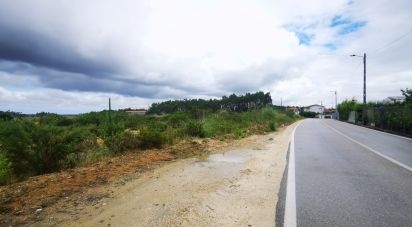 Terrain à bâtir à Marrazes e Barosa de 102 000 m²