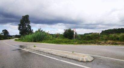 Terrain à bâtir à Marrazes e Barosa de 102 000 m²
