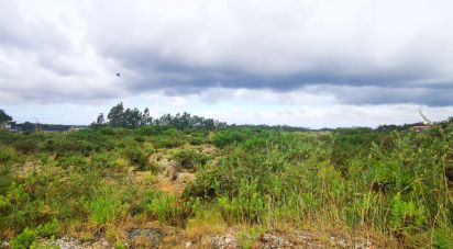 Terrain à bâtir à Marrazes e Barosa de 102 000 m²