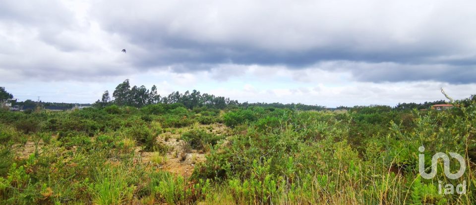 Terrain à bâtir à Marrazes e Barosa de 102 000 m²