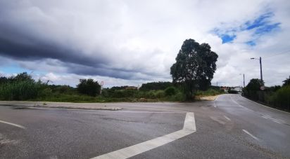 Terrain à bâtir à Marrazes e Barosa de 102 000 m²