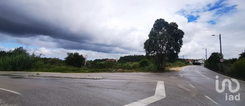 Terrain à bâtir à Marrazes e Barosa de 102 000 m²