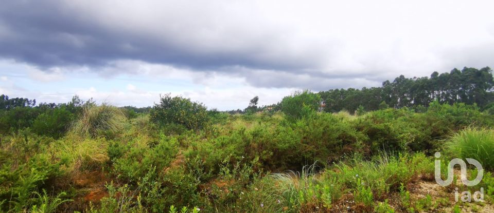 Terrain à bâtir à Marrazes e Barosa de 102 000 m²