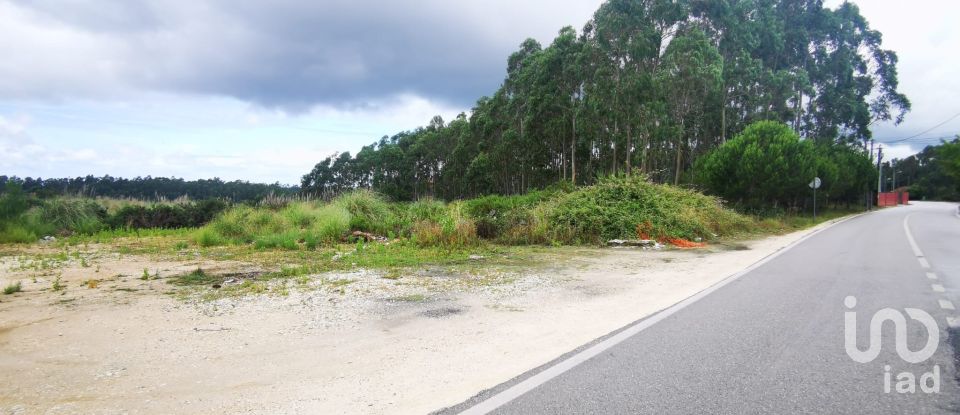 Terrain à bâtir à Marrazes e Barosa de 102 000 m²