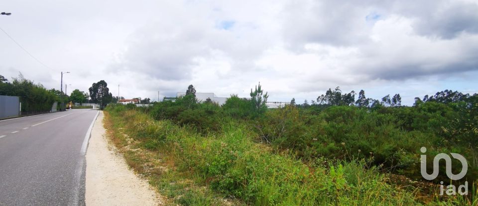 Terrain à bâtir à Marrazes e Barosa de 102 000 m²