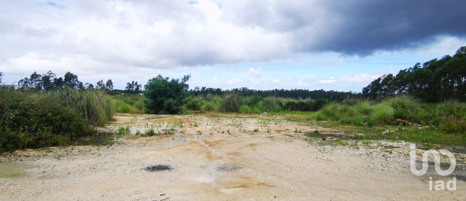 Terrain à bâtir à Marrazes e Barosa de 102 000 m²