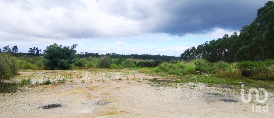 Terrain à bâtir à Marrazes e Barosa de 102 000 m²