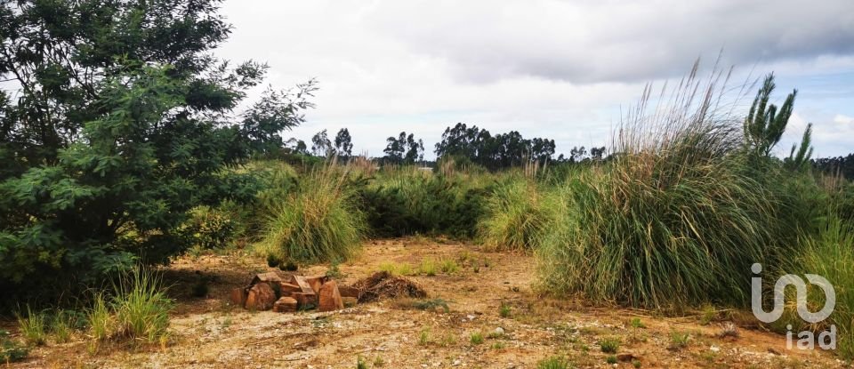 Terrain à bâtir à Marrazes e Barosa de 102 000 m²