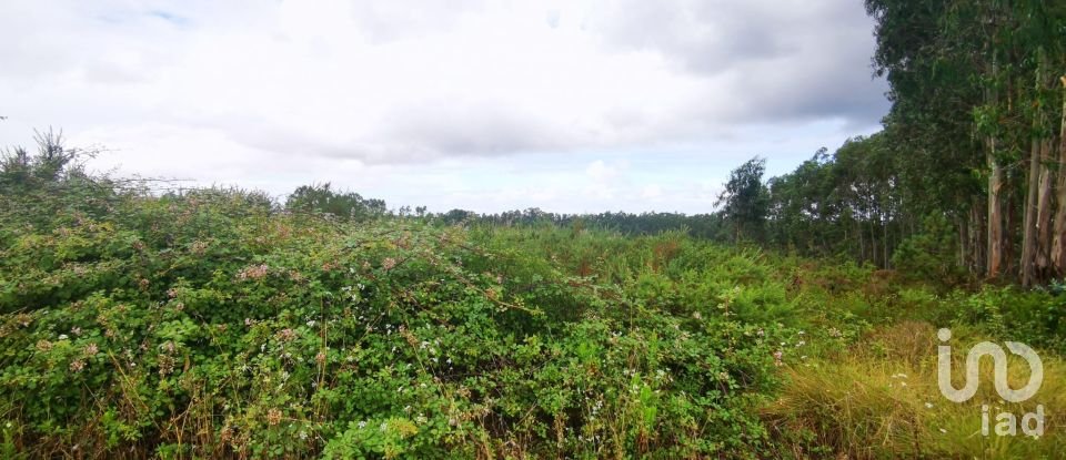 Terrain à bâtir à Marrazes e Barosa de 102 000 m²
