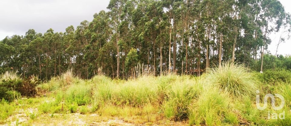 Terrain à bâtir à Marrazes e Barosa de 102 000 m²