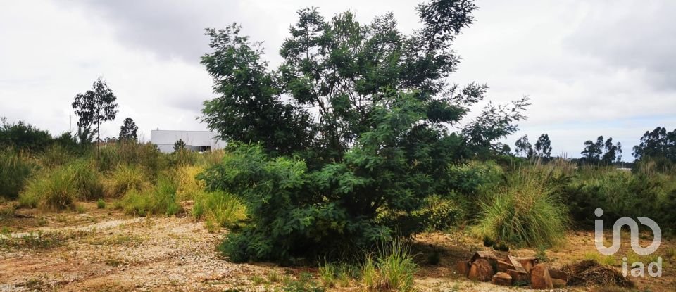 Terrain à bâtir à Marrazes e Barosa de 102 000 m²