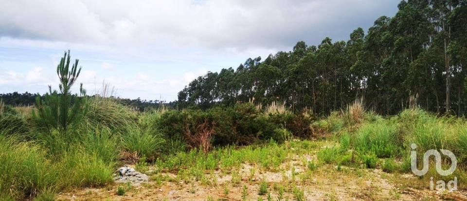 Terrain à bâtir à Marrazes e Barosa de 102 000 m²