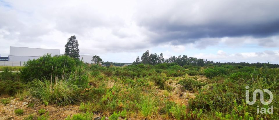 Terrain à bâtir à Marrazes e Barosa de 102 000 m²