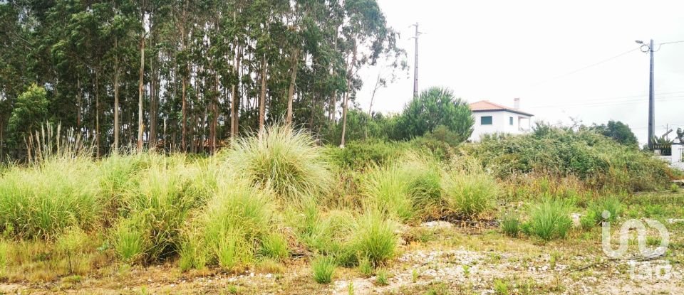 Terrain à bâtir à Marrazes e Barosa de 102 000 m²