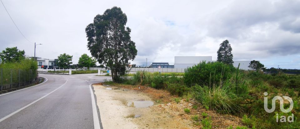 Terrain à bâtir à Marrazes e Barosa de 102 000 m²