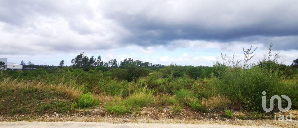 Terrain à bâtir à Marrazes e Barosa de 102 000 m²