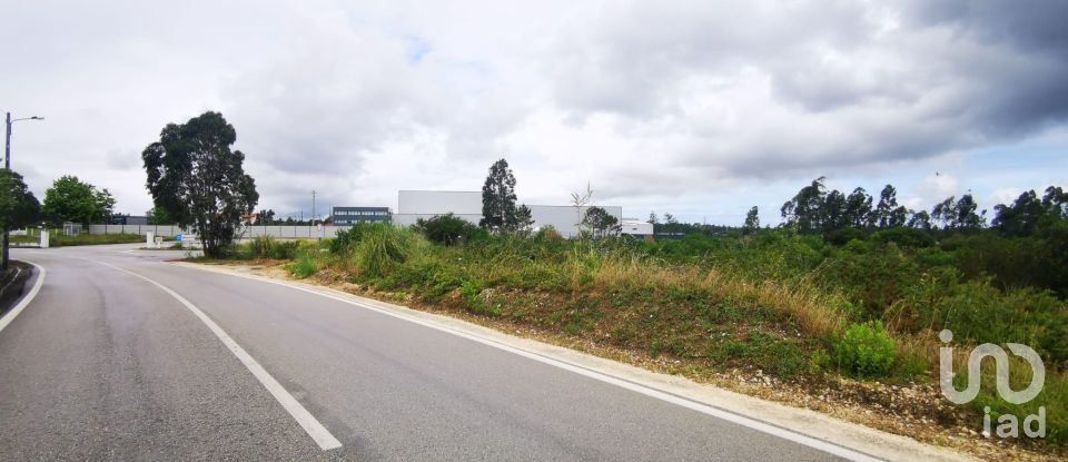 Terrain à bâtir à Marrazes e Barosa de 102 000 m²