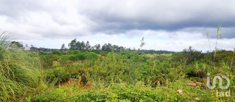Terrain à bâtir à Marrazes e Barosa de 102 000 m²