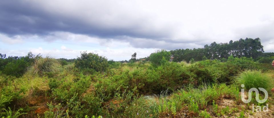 Terrain à bâtir à Marrazes e Barosa de 102 000 m²