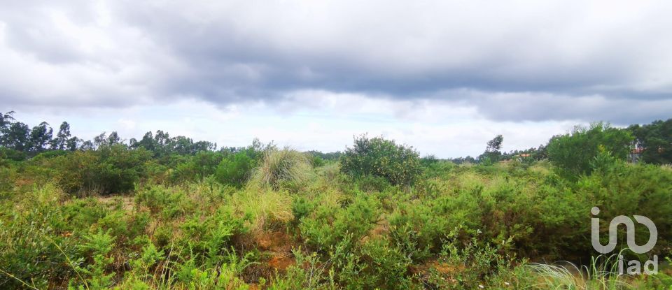 Terrain à bâtir à Marrazes e Barosa de 102 000 m²