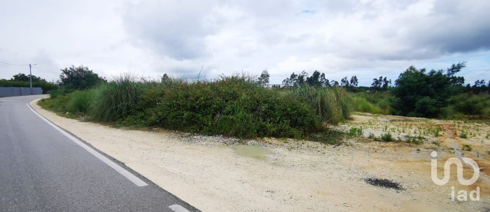 Terrain à bâtir à Marrazes e Barosa de 102 000 m²