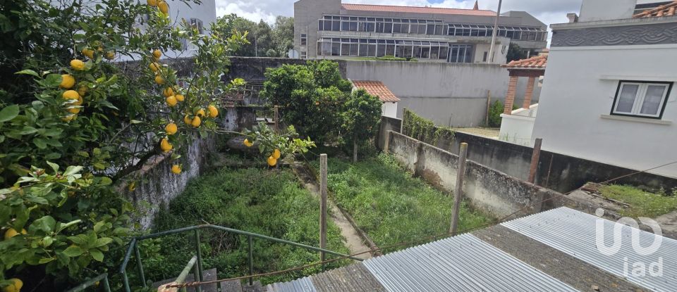 Maison traditionnelle T4 à Bombarral e Vale Covo de 342 m²