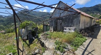 House T1 in Porto da Cruz of 54 m²