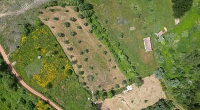 Terrain agricole à Espinhal de 4 430 m²