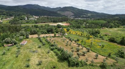 Terrain agricole à Espinhal de 4 430 m²
