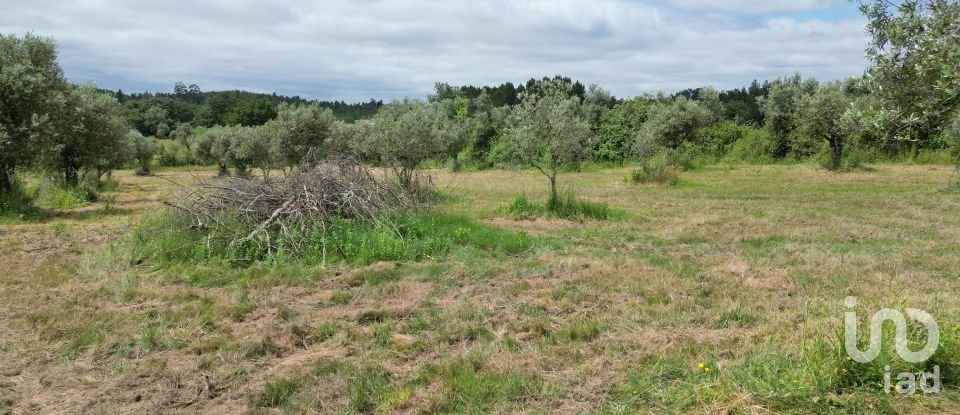 Terreno rústico em Espinhal de 4 430 m²