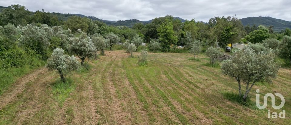Terreno rústico em Espinhal de 4 430 m²