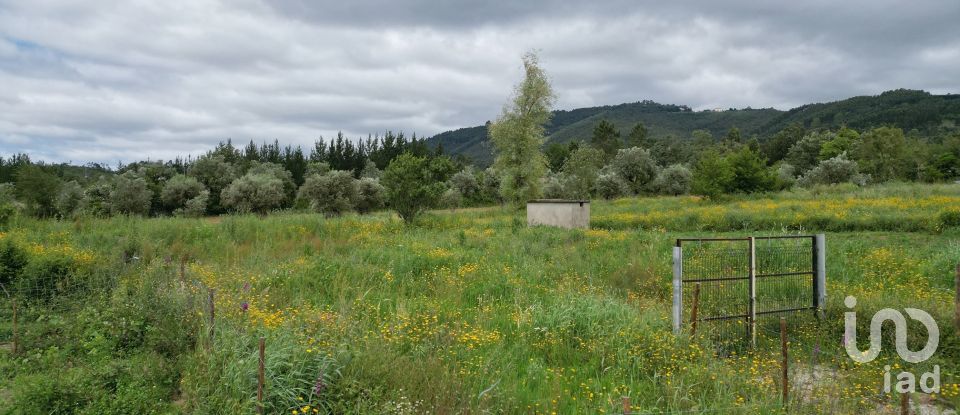 Terreno rústico em Espinhal de 4 430 m²