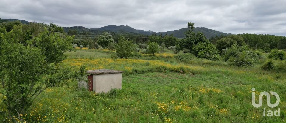 Terreno rústico em Espinhal de 4 430 m²
