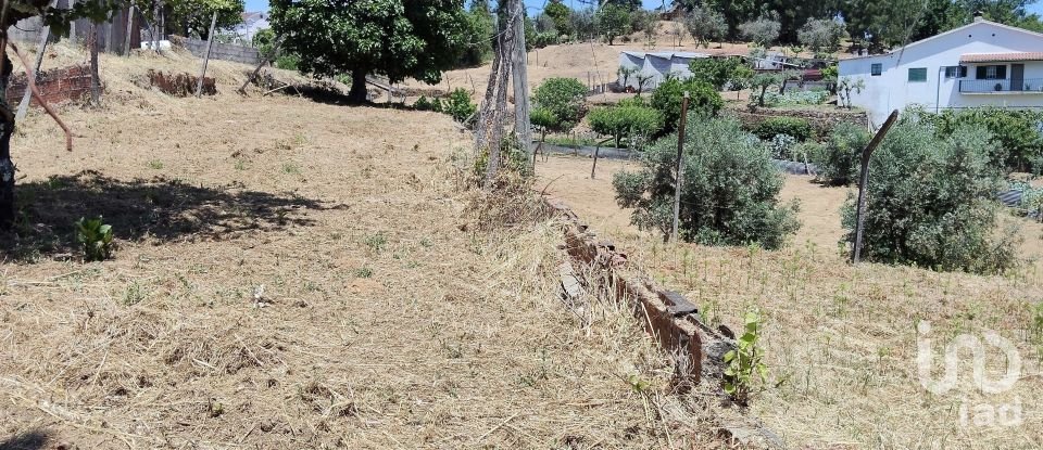 Terrain à Pedrógão Grande de 1 114 m²