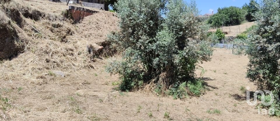 Terrain à Pedrógão Grande de 1 114 m²