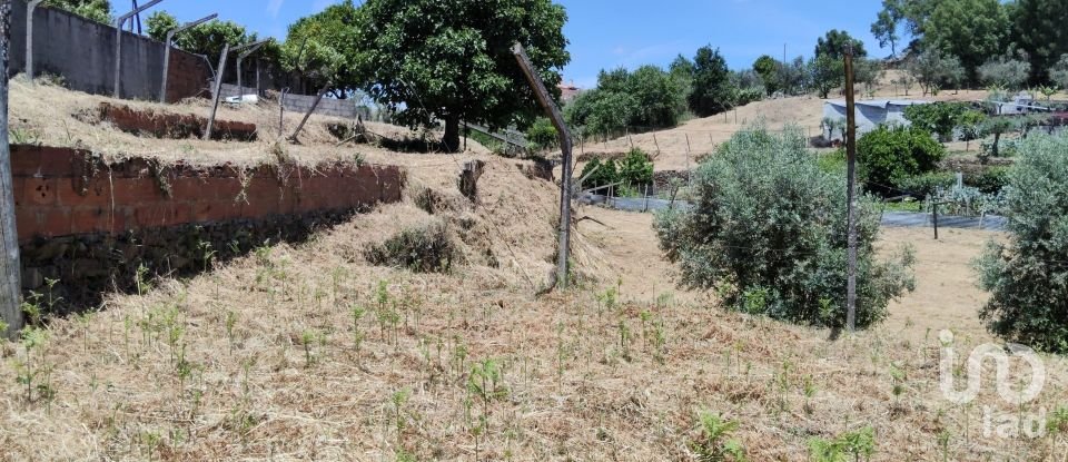 Terrain à Pedrógão Grande de 1 114 m²
