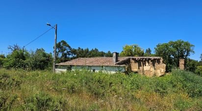 Ferme T2 à São Teotónio de 140 m²