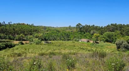 Ferme T2 à São Teotónio de 140 m²