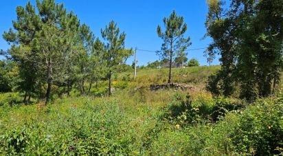 Ferme T2 à São Teotónio de 140 m²