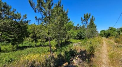 Ferme T2 à São Teotónio de 140 m²