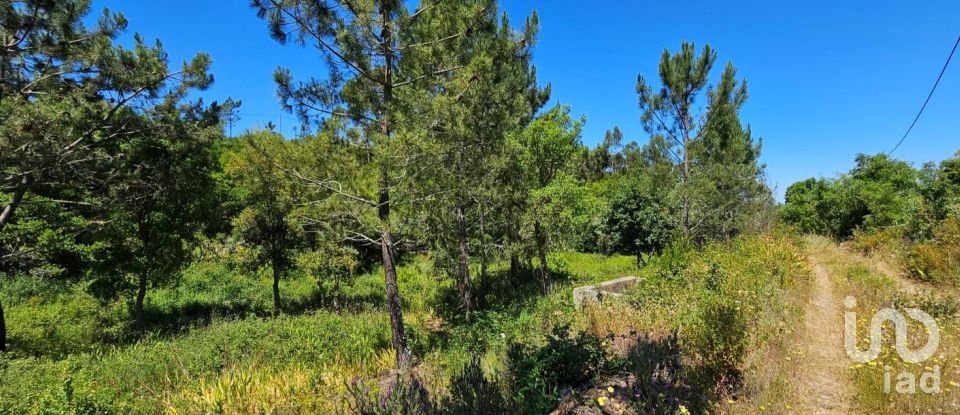 Ferme T2 à São Teotónio de 140 m²