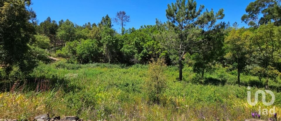 Ferme T2 à São Teotónio de 140 m²