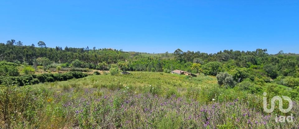 Ferme T2 à São Teotónio de 140 m²