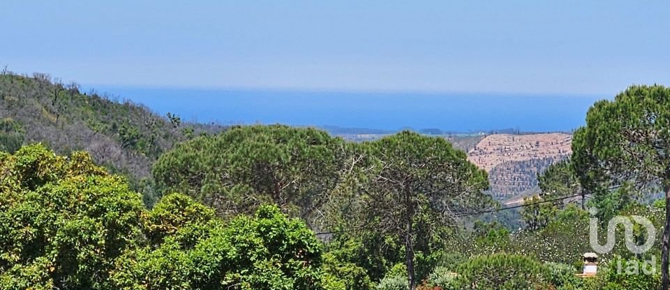 Ferme T2 à São Teotónio de 140 m²