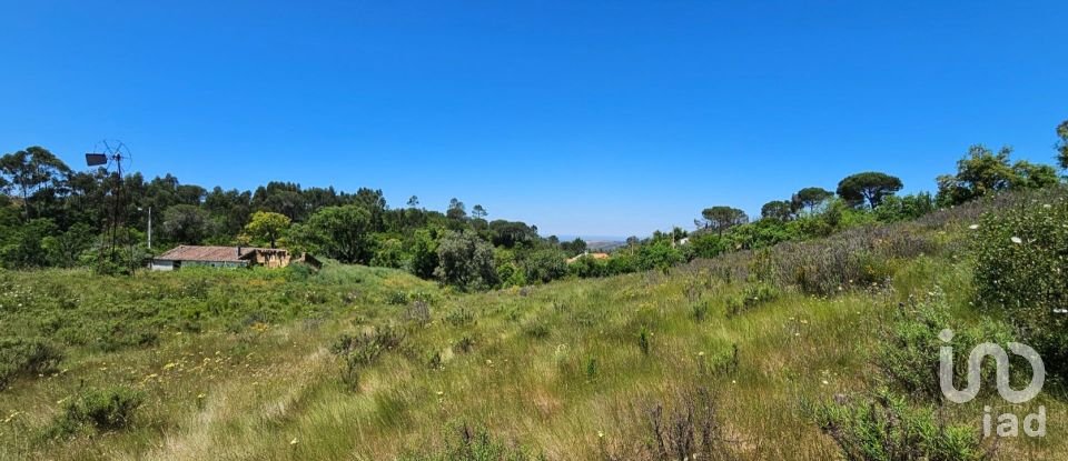 Ferme T2 à São Teotónio de 140 m²