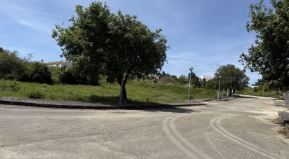 Terrain à bâtir à Reguengo Grande de 728 m²