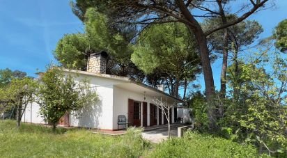 Maison T4 à Madalena e Beselga de 170 m²